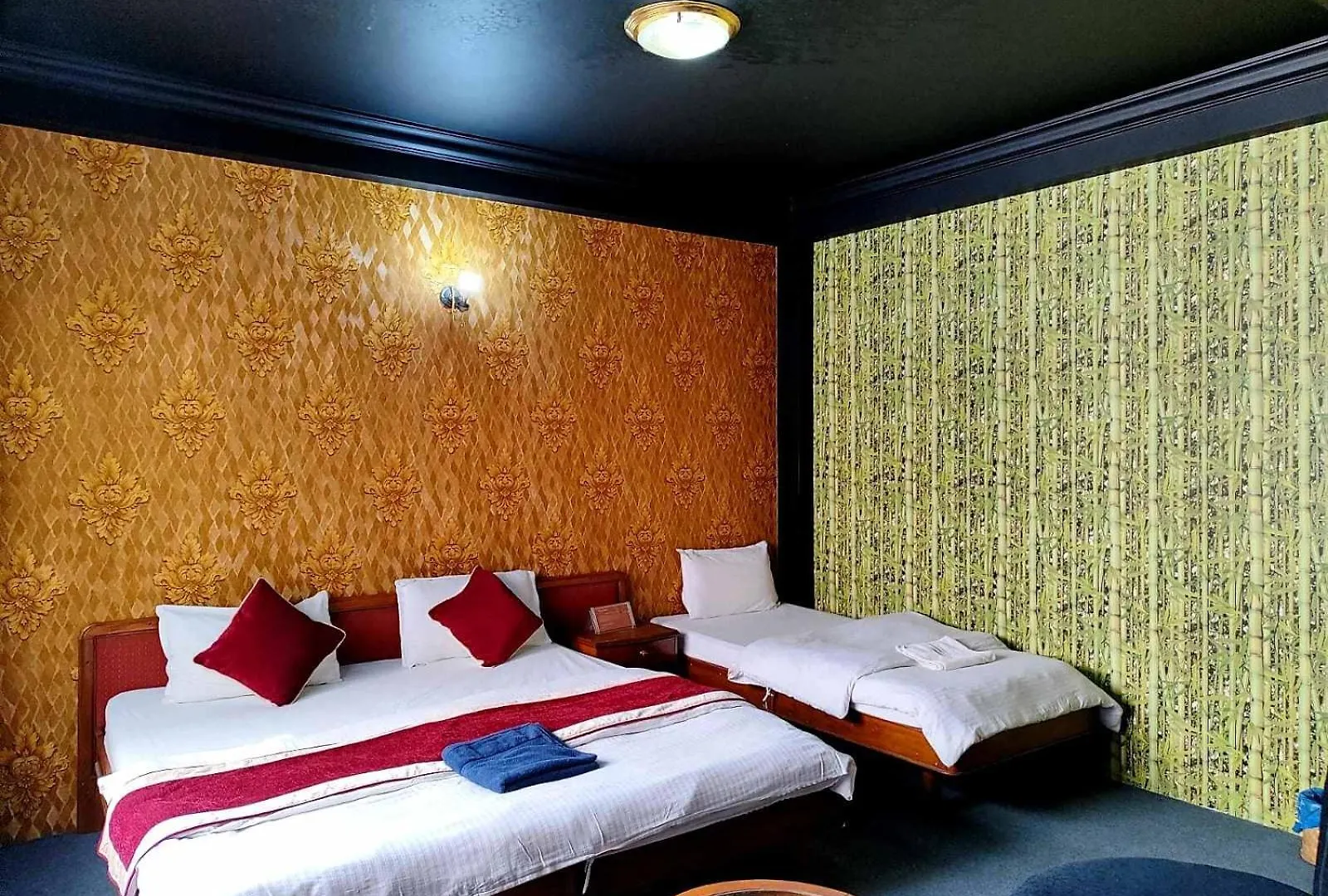 Hotel Ngudrup 加德满都 尼泊尔